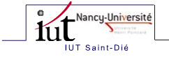 IUT de saint-Di� des Vosges