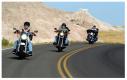15 Harley sur la Route 66