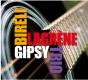 Biréli Lagrène Gipsy Trio