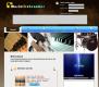 Musicliveteacher.com: 1er annuaire vidéo des musiciens