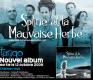 Spline et la Mauvaise Herbe