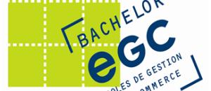 Concours BACHELOR-EGC   Prochaine session le 2 mai