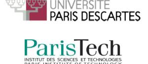 Paris Descartes et ParisTech lancent le Master Bioingéniérie
