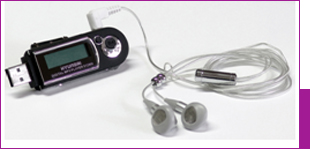 MP309HY
