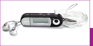 MP309HY