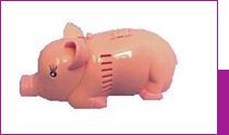 aspirateur Cochon