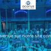 Le Groupe Acorus recrute 150 alternants en 2023