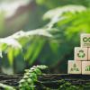 Une carrière qui vous ressemble : lancez-vous dans le développement durable