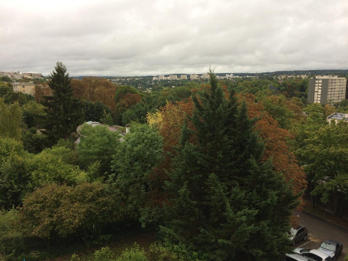 : Vue du salon