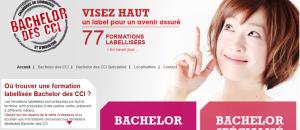 Label Bachelor des CCI