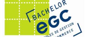 Dernière session de recrutement du bachelor EGC sur 16 campus