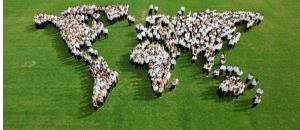 Video Insolite : Une gigantesque carte du monde animée et réalisée par les étudiants des Roches