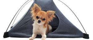 Kit vacances: Comment faire pour partir avec son chien au camping cet été ?