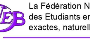 Diffuser et développer les cultures Scientifiques Techniques et Industrielles avec le réseau des œuvres par et pour les étudiants