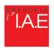 Partenariat entre  l'IAE de Grenoble et les écoles d'ingénieur de Grenoble INP.