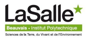 Un Master « Management de la Sécurité Alimentaire des Villes » (MSAV)