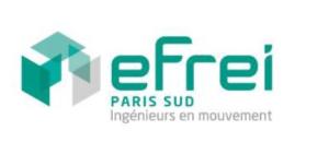 Une filière internationale à l'Efrei dès septembre 2013