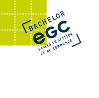 Cap sur le réseau Bachelor EGC