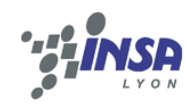 Sport et Etudes / L'INSA de Lyon forme des vainqueurs grâce à sa Section Sport de Haut Niveau