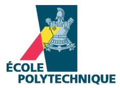 Cours en ligne à l'École polytechnique