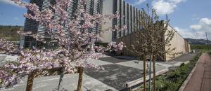 L'École des Mines de Saint-Étienne intègre pour la 1ère fois le classement international « IMPACT » du Times Higher Education, dédié au Développement Durable