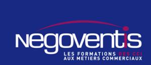 Negoventis : Former des commerciaux spécialistes de l'Industrie