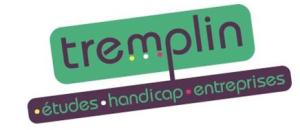 Cap sur les "Rencontres TREMPLIN Alternance"  Mardi 28 mai 2013