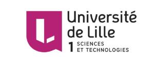 La Silicon Valley coache des étudiants en master informatique