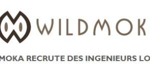 WILDMOKA RECRUTE DES INGENIEURS LOGICIELS