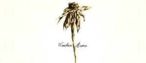 Patrick Watson, nouvel album Wooden Arms