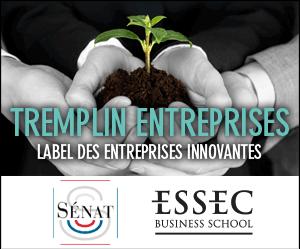 Le SENAT et l'ESSEC ouvrent l'appel à candidatures de la 14e édition de Tremplin Entreprises