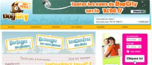 DogCity le site communautaire pour les chiens