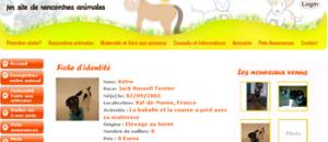 Pets Dating : le 1er site de rencontre pour animaux !