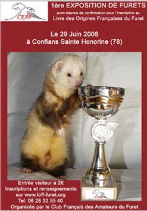 Le premier livre sur les origines françaises du furet !