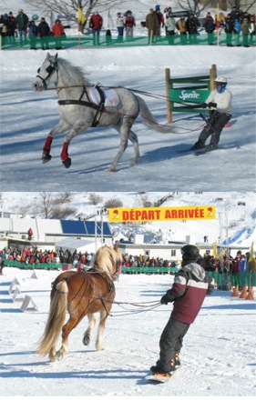 Le Ski-Joering, le plaisir de la glisse et de l'équitation !