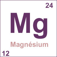 Le magnésium en bref