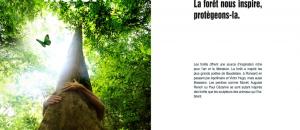 Les forêts nous inspire: protégeons la!