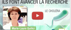 Série vidéo « Ils font avancer la recherche »