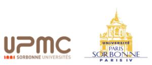 Feu vert pour la fusion des universités Paris-Sorbonne et  Pierre-et-Marie Curie (UPMC)