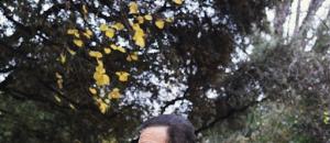 YCARE SUR LES CHEMINS, DE VENDEE