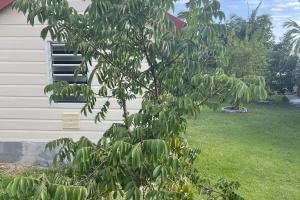Colocation seniors Saint-Pierre 97410