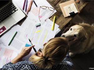  alt="Frais vétérinaires : comment les réduire quand on est étudiant ?"