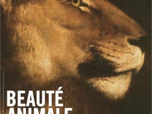  alt="Visitez l'exposition Beauté Animale pour 8€ et invitez gratuitement la personne de votre choix"
