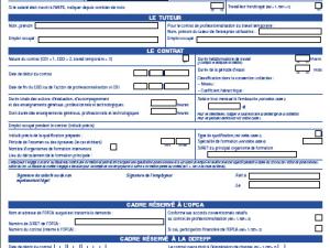  alt="Télécharger le contrat de Professionnalisation"
