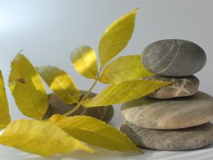  alt="L'art de la décoration Feng Shui"