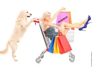  alt="Job étudiant : Dog Sitting / Garde & promenade animaux"