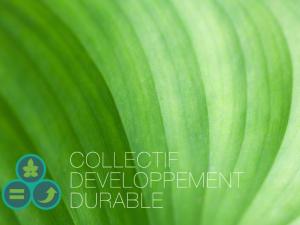  alt="Eco-déco : Valeur sûre pour une décoration d'intérieur éco-responsable"