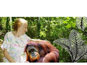  alt="L'engagement n'a pas d'âge : FRANCINE NEAGO, 85 ans toujours dans l'action pour les Orangs-outans"