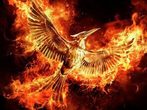  alt="HUNGER GAMES LA RÉVOLTE !"