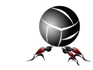  alt="Connaissez vous ce nouveau sport, le Kin-Ball ?"